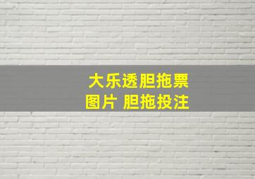 大乐透胆拖票图片 胆拖投注